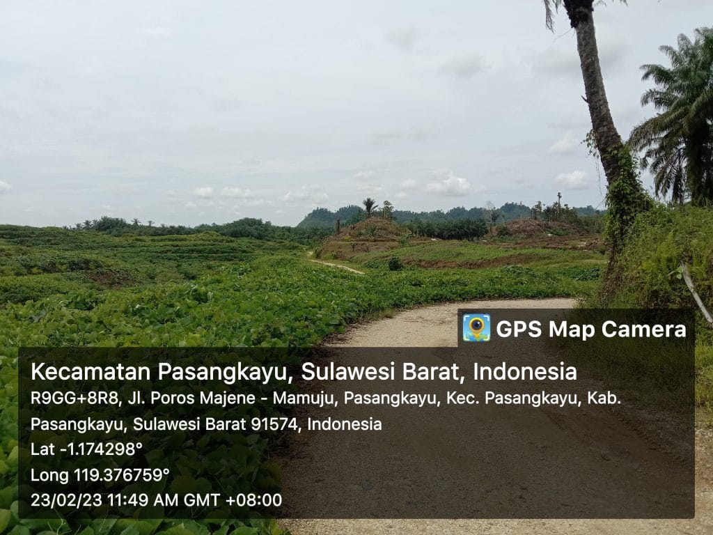 Perambahan Hutan Konservasi, KPH Pasangkayu: Bisa Dipidana 10 Tahun