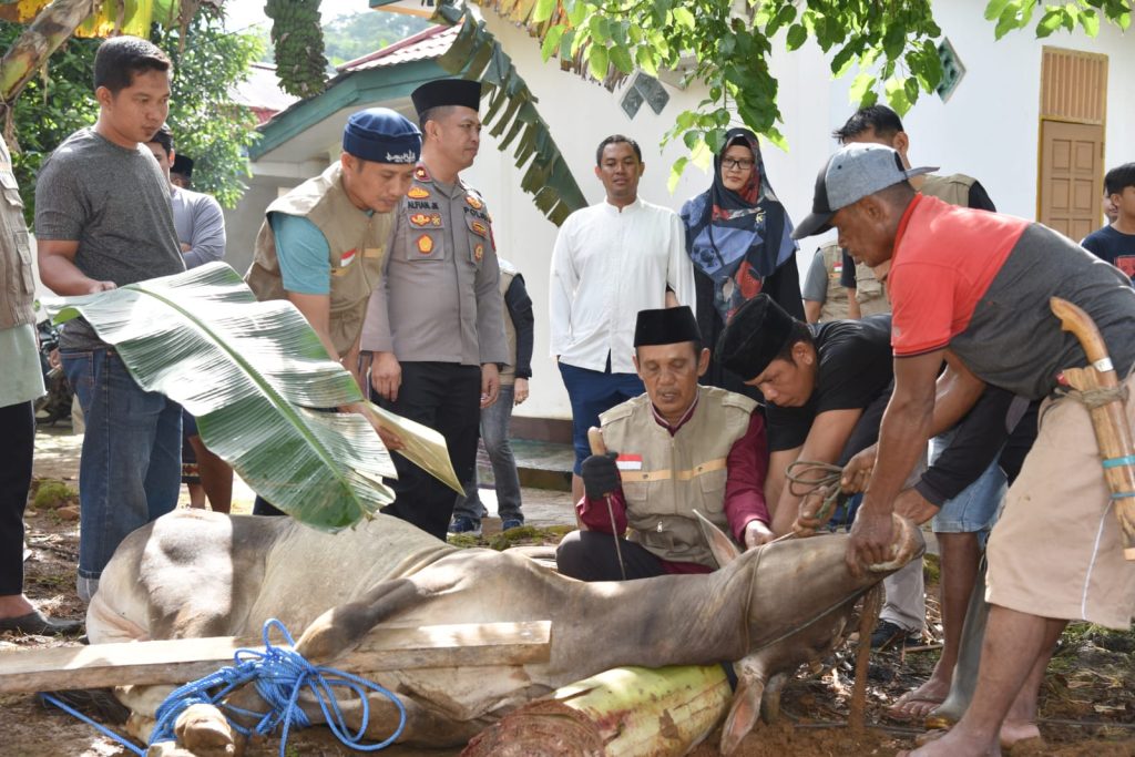 Kapolres Morut Salurkan Daging Qurban Kapolres Morut Salurkan Daging Qurban