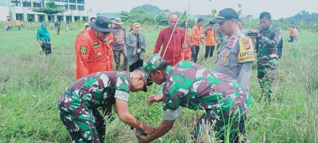 Kodim 1427/Pasangkayu Tanam Ketapang Berneo 200 Pohon
