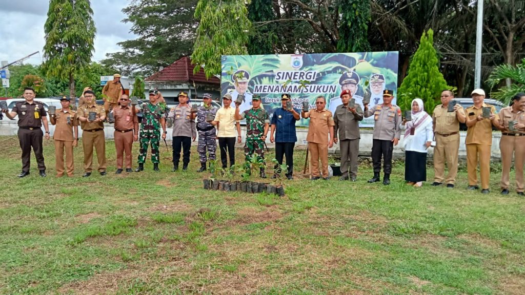 Sinergitas Pj Gubernur Sulbar Tanam Sukun di Kabupaten Pasangkayu