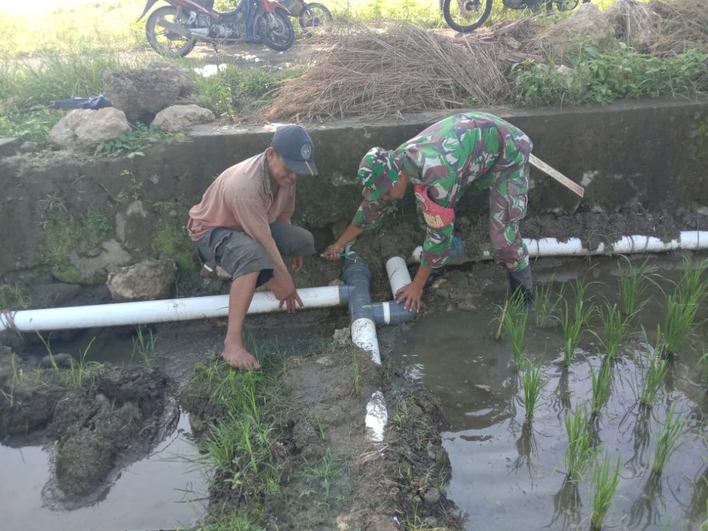 Wujud Babinsa Mendampingi Warga Pangiang Pengecekan Pipa Saluran Air Persawahan