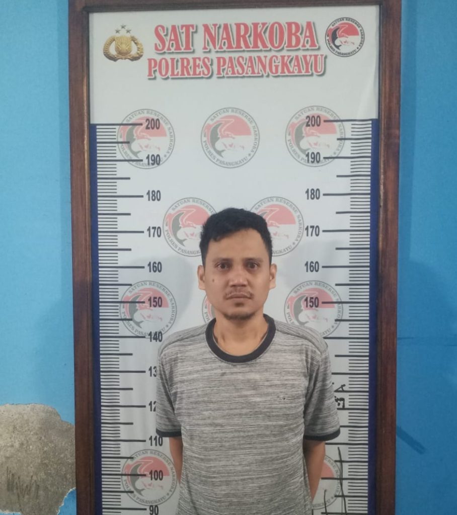 Cegat Travel Lintas Palu-Makassar, Sat Narkoba Polres Pasangkayu Temukan Sabu Milik AF