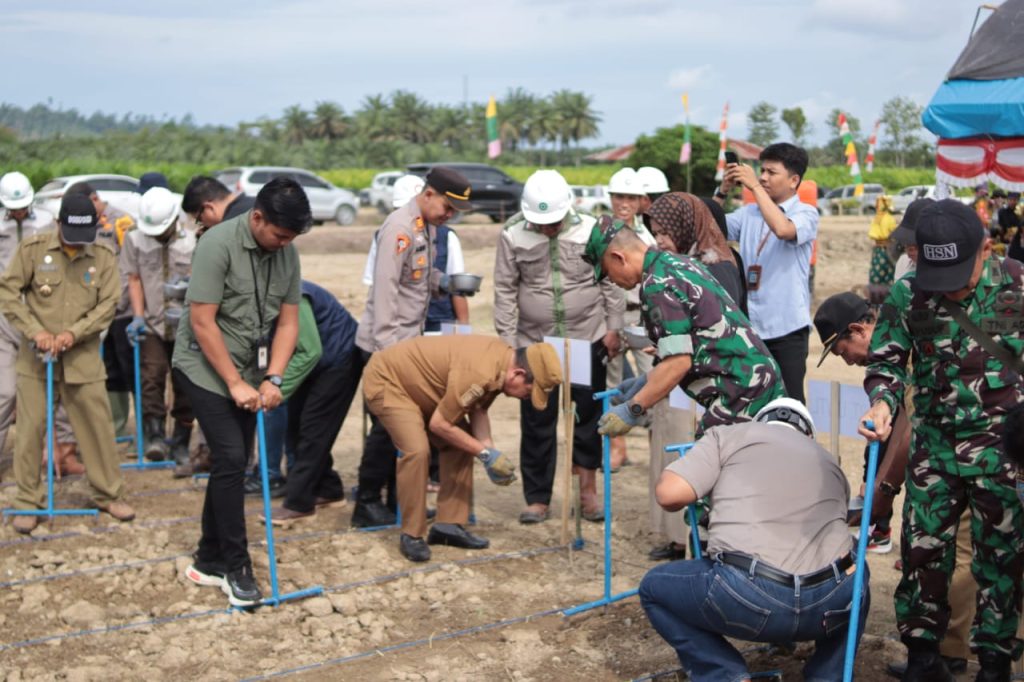 Bupati Yaumil Gabung Petani dalam Program Penanaman Jagung Massal di Baras
